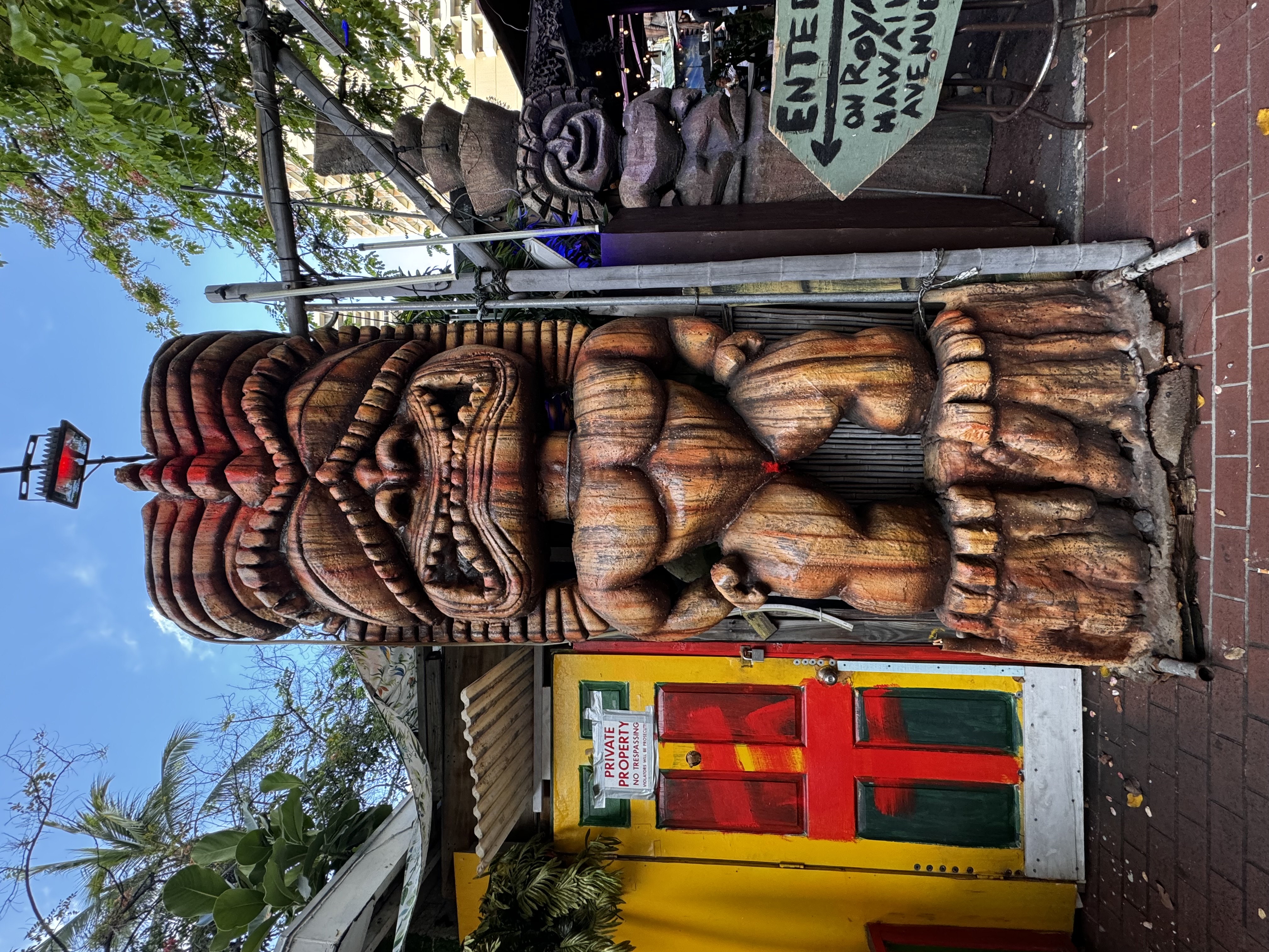 Cuckoo Coconuts